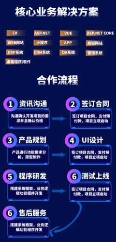 C#ASP.NET CORE开发软件APP开发小程序开发