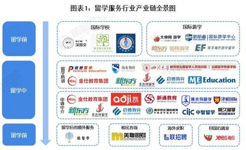 最新 2021出国留学蓝皮书 发布,美国仍是第一留学目的国